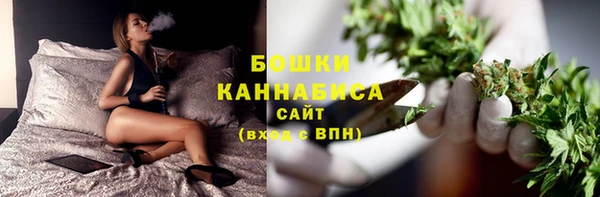 трава Бикин