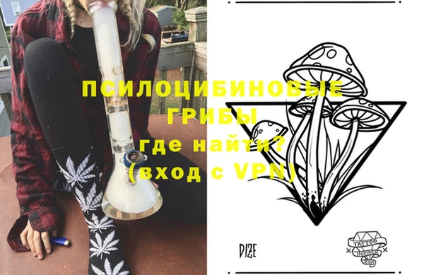 дурь Надым
