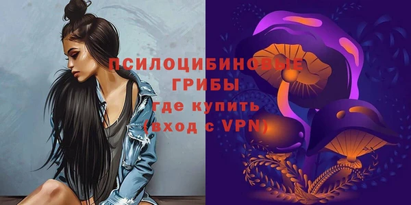 дурь Надым