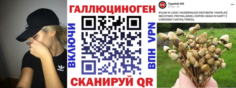 нарко площадка формула Нефтегорск Галлюциногенные грибы GOLDEN TEACHER